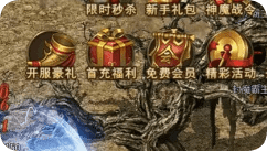 玩战士别再乱加点了，手游版本优