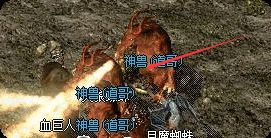新开发布网 新开发布网